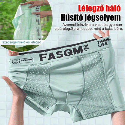 🔥【Kupite 1, dobite 5 brezplačno】 2024 Ice Silk Breathable Mesh poletne moške boksarice