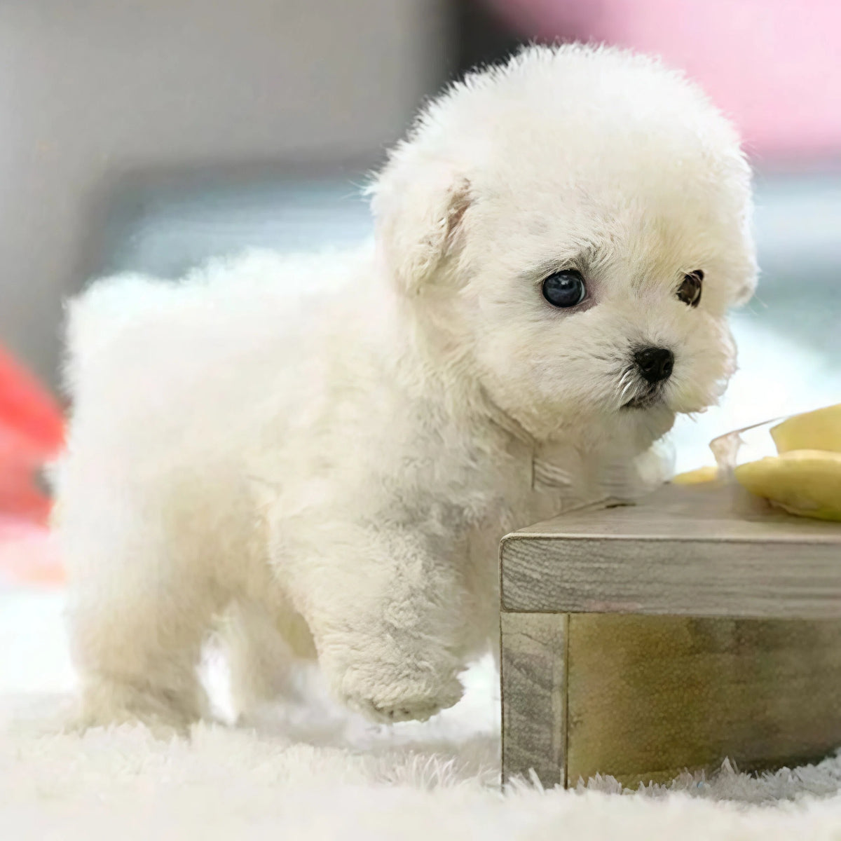 🐶Akció - 🔥Plüss kutyus Puppy My Robot